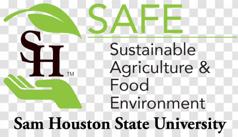Sam Houston State University Of Amsterdam Bearkats Football Calicut Transparent PNG