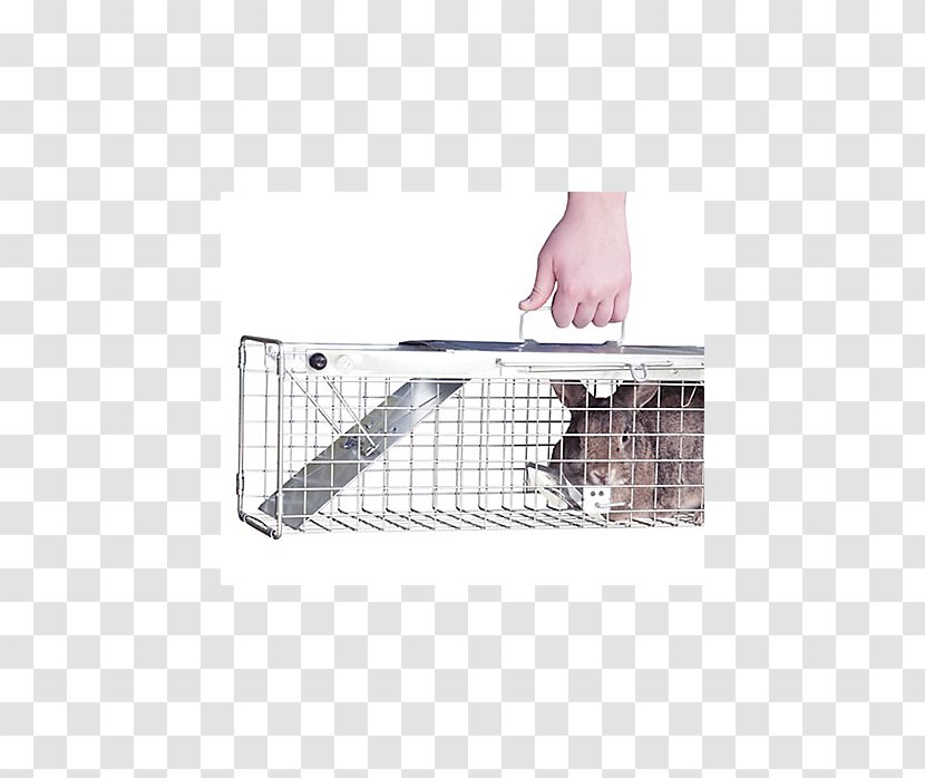 Trapping Cage American Mink European Rabbit Animal - Mouse Trap Transparent PNG