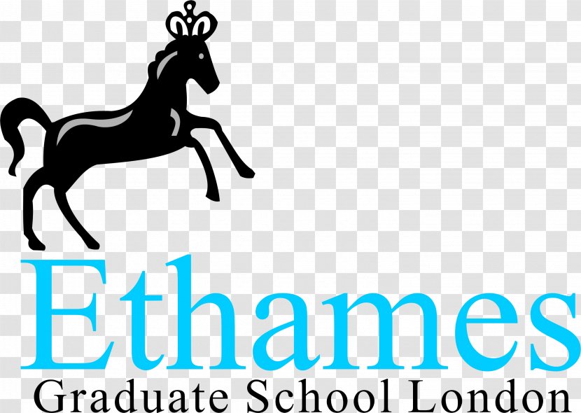 EThames Graduate School Mustang Halter Mane Pack Animal Transparent PNG
