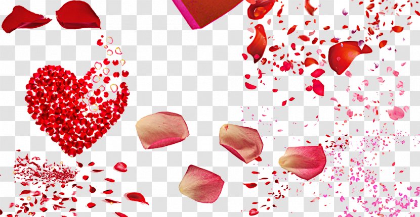 Beach Rose Petal Heart - Valentines Day - Love Floating Elements Transparent PNG