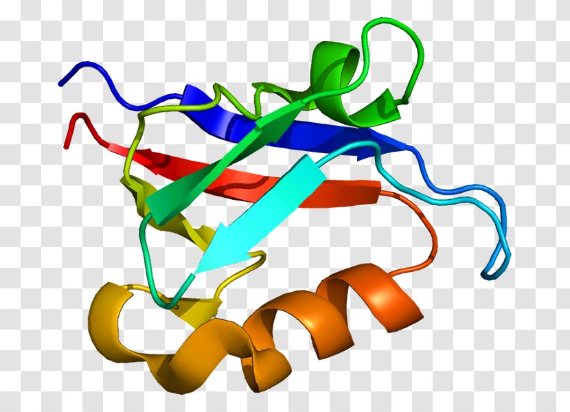 Signal Transducing Adaptor Protein Amyloid Precursor Complex PDZ Domain - Watercolor - Frame Transparent PNG