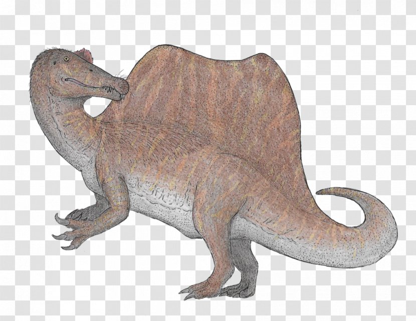 Spinosaurus Tyrannosaurus Velociraptor Animal Duck - Art Transparent PNG