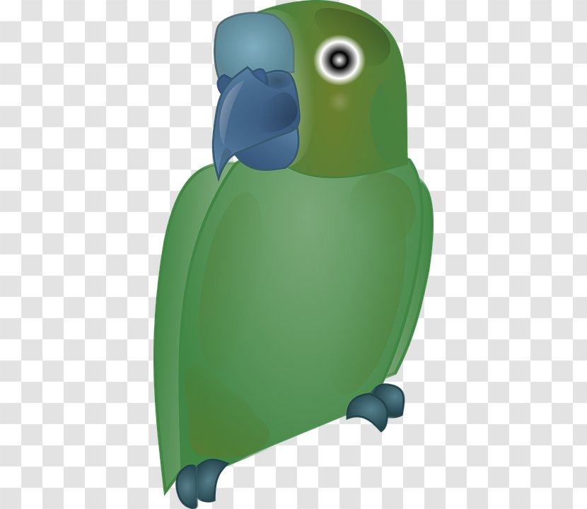 Parrot Bird Clip Art - Green Transparent PNG