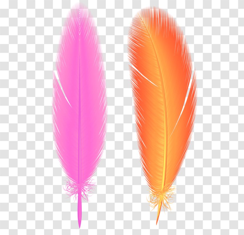 Feather Bird Euclidean Vector - Wing - Fine Feathers Transparent PNG