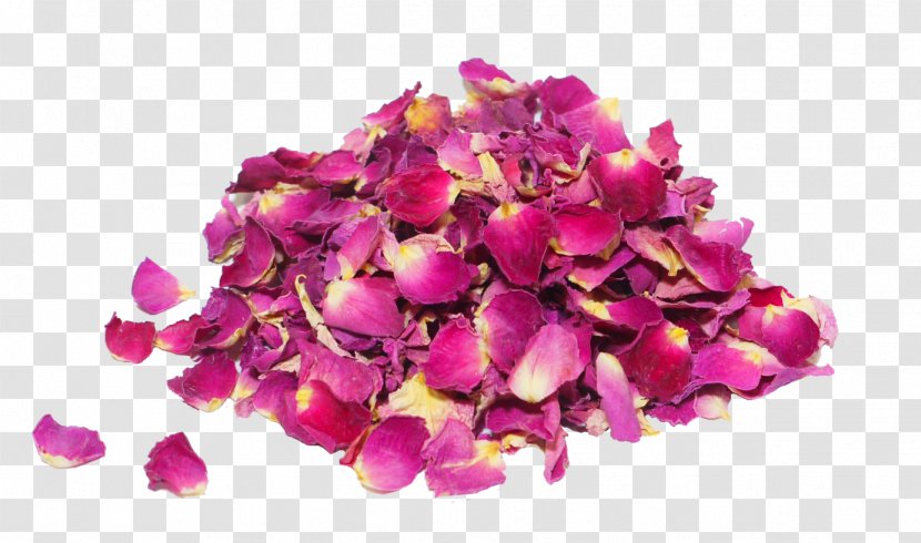 Damask Rose Petal Herbal Distillate Flower Oil - Flowering Plant - Petals Transparent PNG