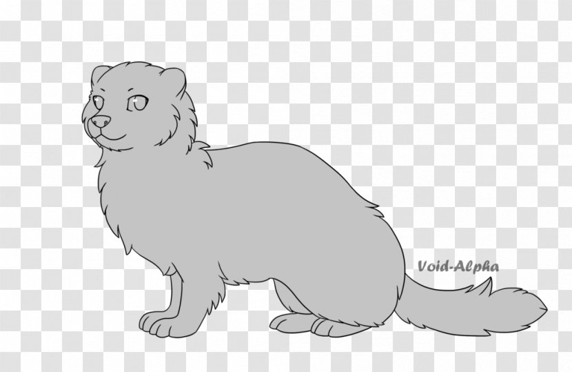 Cat Whiskers Ferret Weasels Otter - Hare Transparent PNG