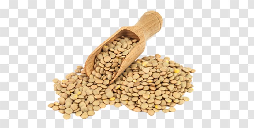 Cooking Cartoon - Legume - Groat Transparent PNG