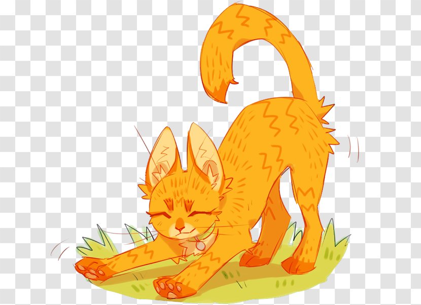 Cat Kitten Whiskers Warriors Drawing - Character Transparent PNG