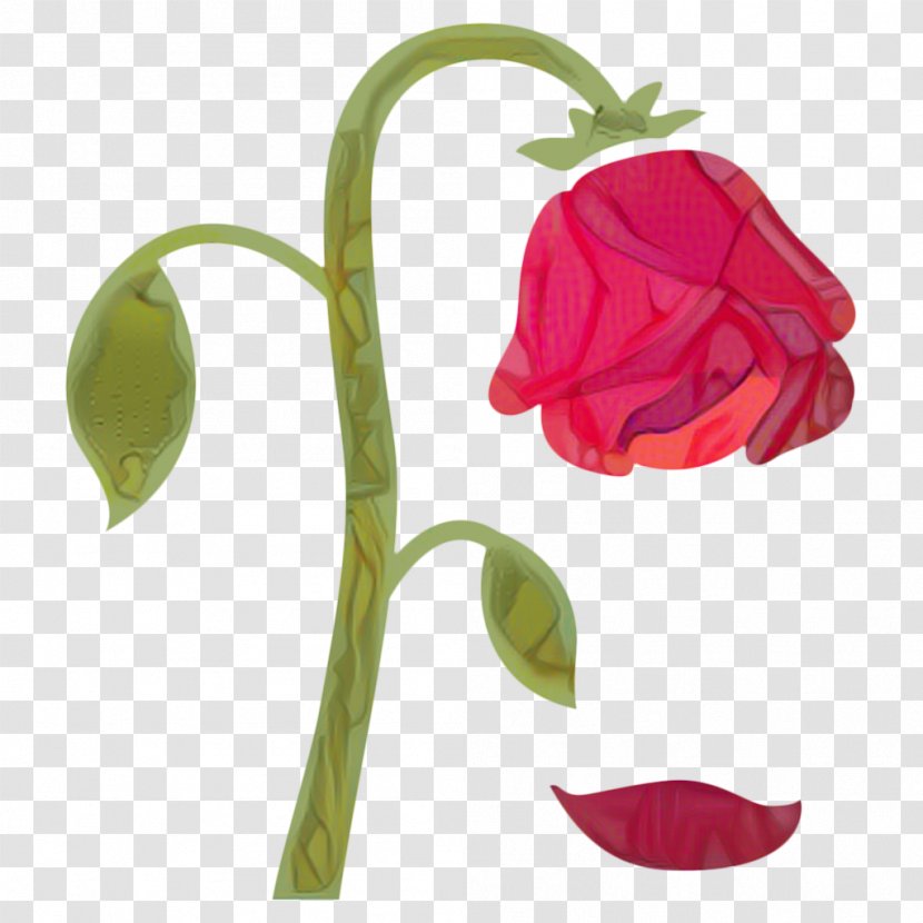 Lily Flower Cartoon - Plant Stem - Sweet Peas Family Transparent PNG