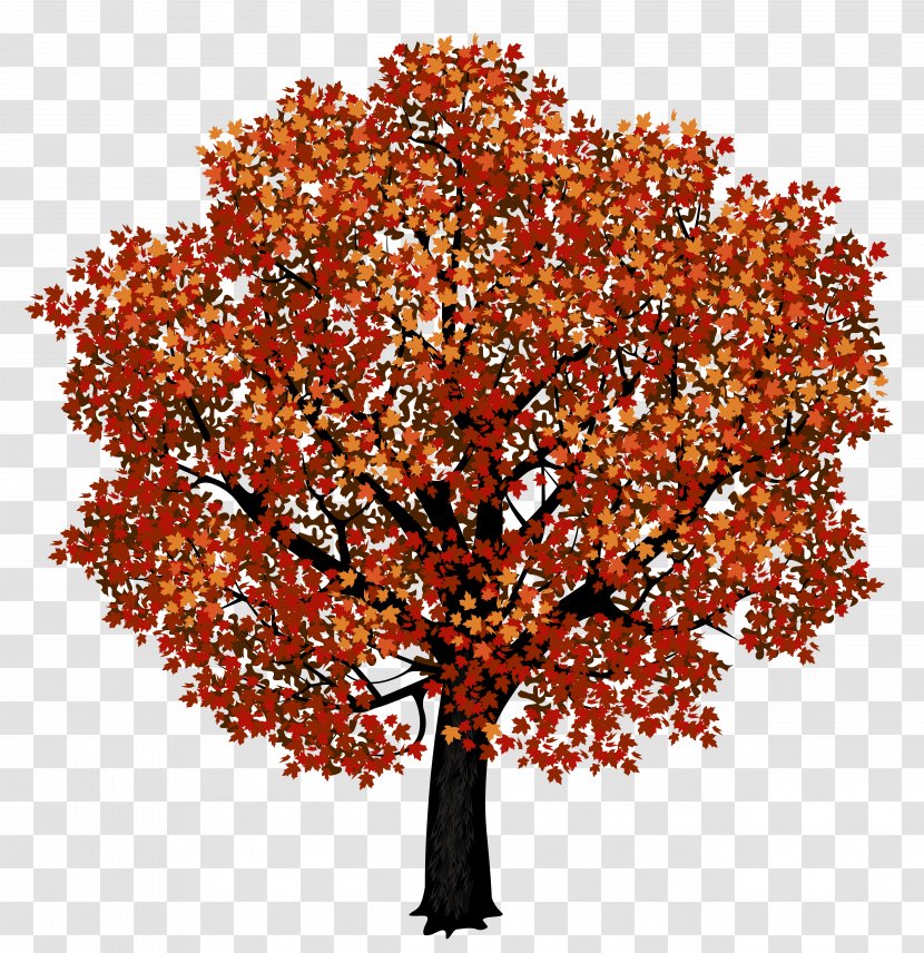 Red Maple Japanese Autumn Leaf Color Clip Art - Tree Clipart Picture Transparent PNG