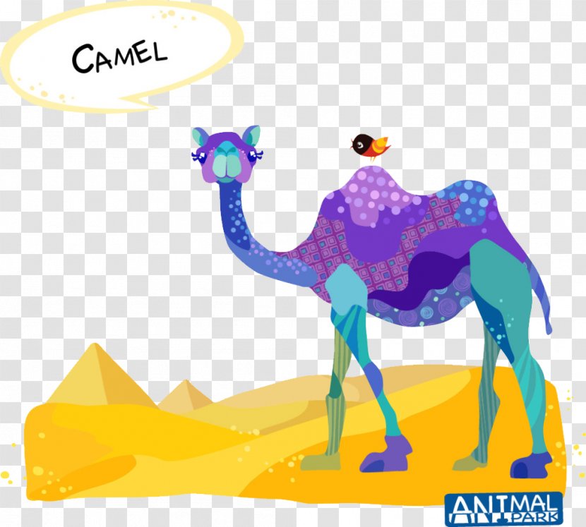 Dromedary Bactrian Camel Drawing Cartoon - Purple - Desert Transparent PNG