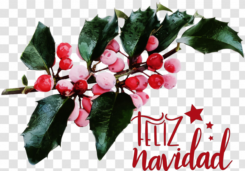 Feliz Navidad Merry Christmas Transparent PNG