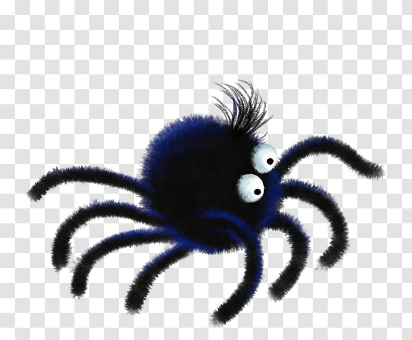 Itsy Bitsy Spider Nursery Rhyme The Transparent PNG