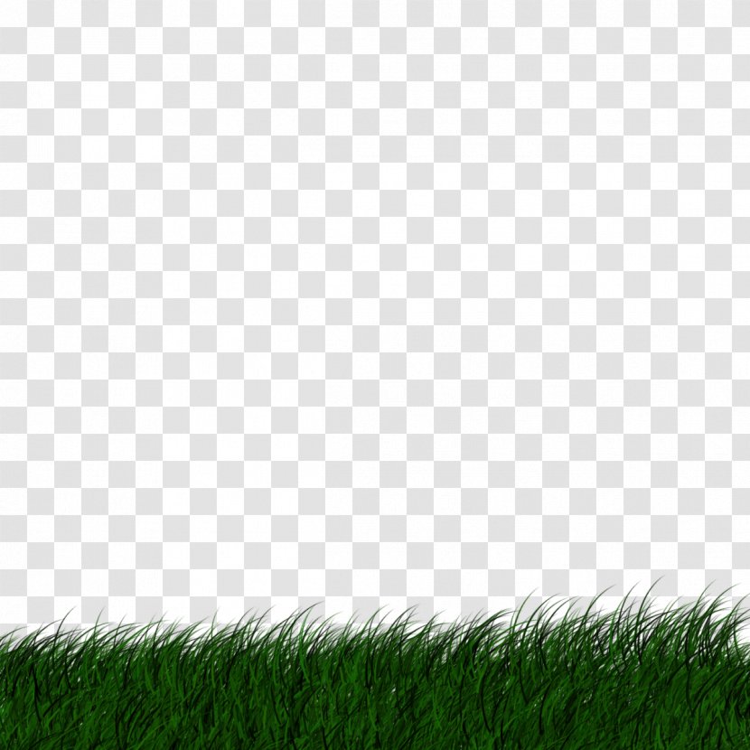 Desktop Wallpaper Lawn Image Transparency - Computer - Grass Banner Transparent PNG