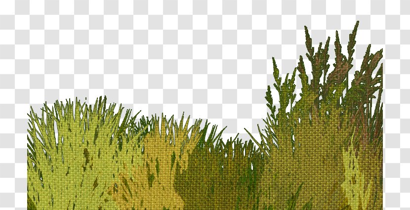 Green Grass - Biome - Field Transparent PNG
