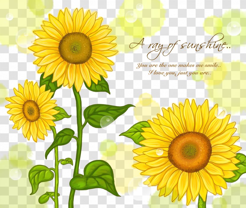 Common Sunflower Watercolor Painting Illustration - Poster - Card Background Material Transparent PNG