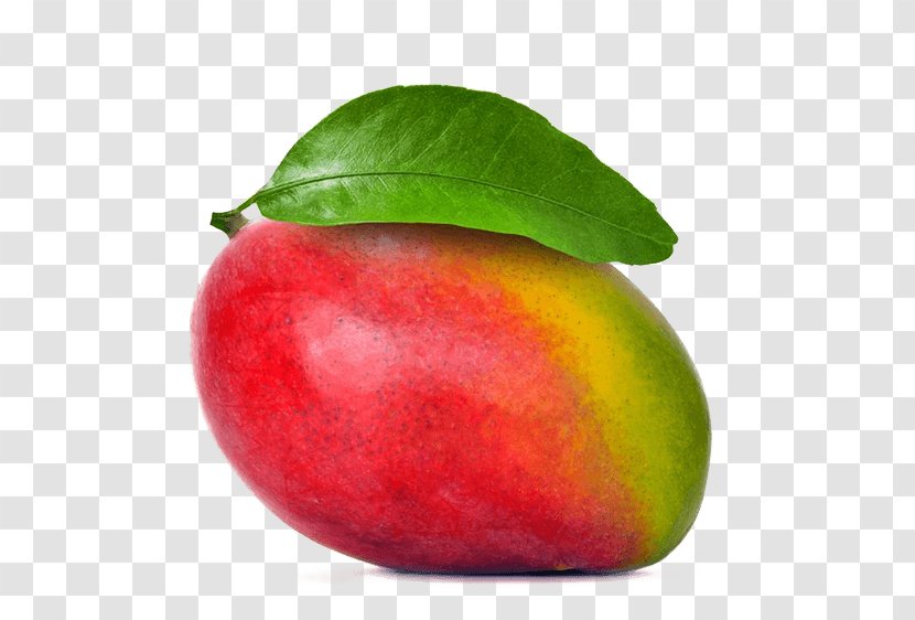 Mango Mangifera Indica Tommy Atkins Tropical Fruit - Drawing Transparent PNG