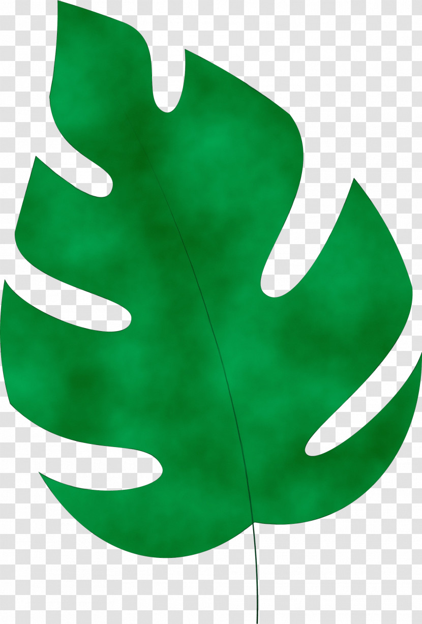 Leaf Green M-tree Tree Science Transparent PNG