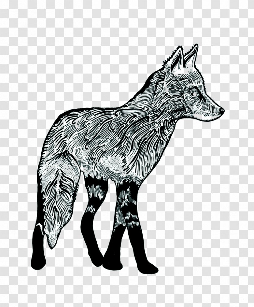 Red Fox Gray Wolf ZAPspace Trampoline Park Jackal Donkey - Alt Attribute - Stratford Station Transparent PNG