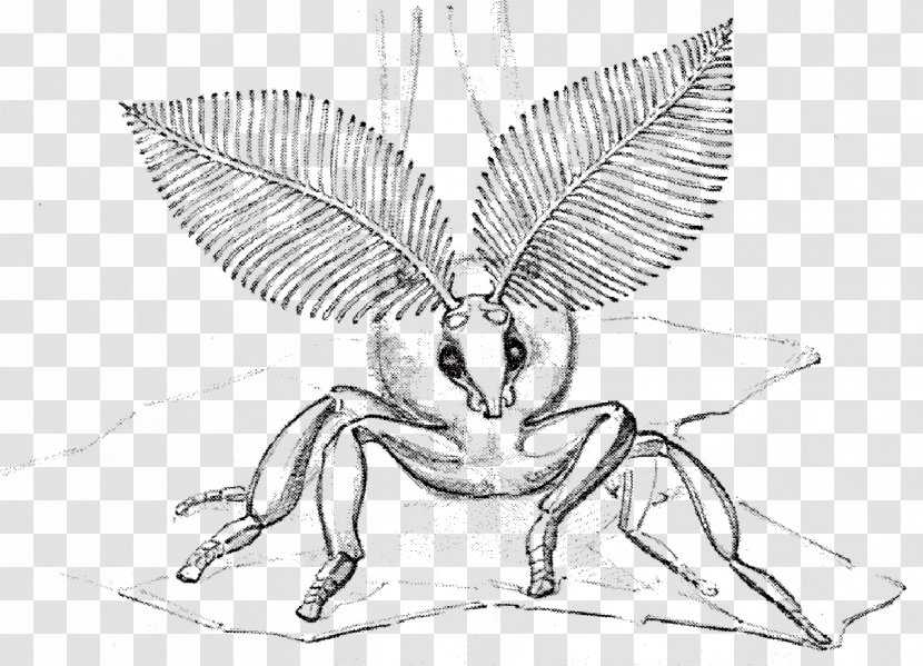 Bionics Lepidoptera Termite Sketch Drawing - Plant - Silkworm Moth Book Transparent PNG