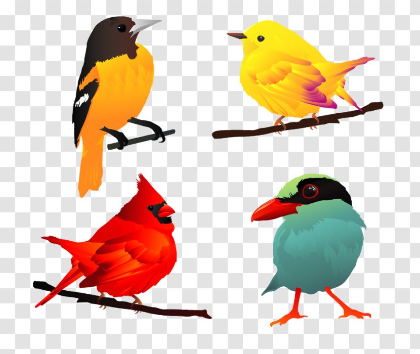 Bird Clip Art - Free Vector Transparent PNG