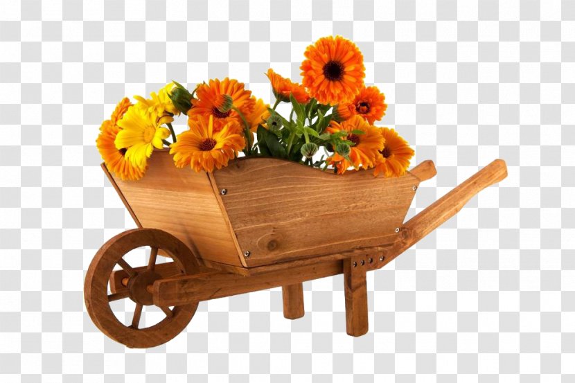 Wheelbarrow Flower Marigold Photography - Marigolds And Trolleys Transparent PNG