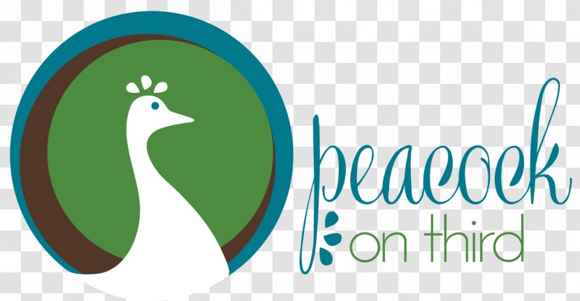 Peacock On Third Logo Of NBC Graphic Design - Beak Transparent PNG