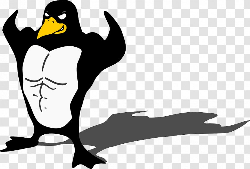 Penguin Bird Muscle Biceps Clip Art - Flightless - Penguins Transparent PNG