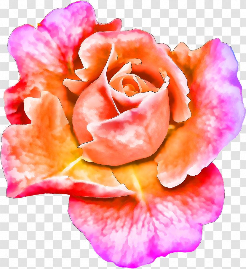 Painting Floral Design Flower Art Image - Plant Transparent PNG