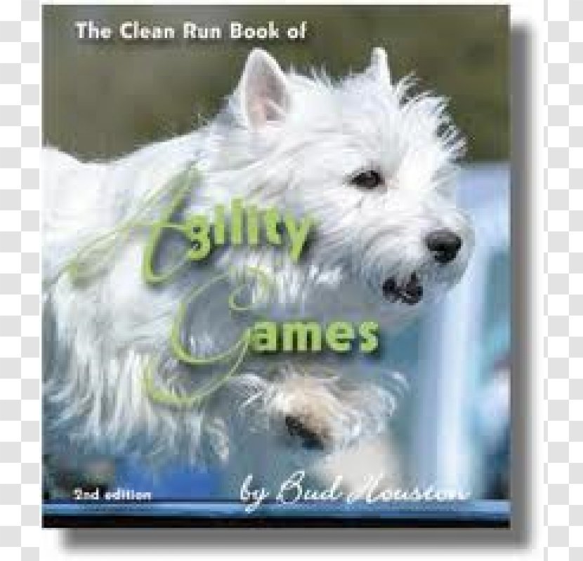 West Highland White Terrier Glen Cairn Companion Dog Breed - Razas Nativas Vulnerables - Teacup Dogs Agility Association Transparent PNG