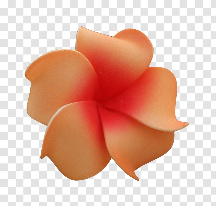 Flower Hawaii Clip Art - Color Transparent PNG