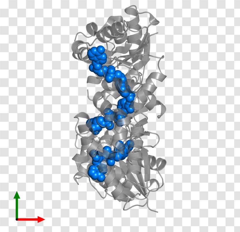 Body Jewellery Font - Flavin Adenine Dinucleotide Transparent PNG