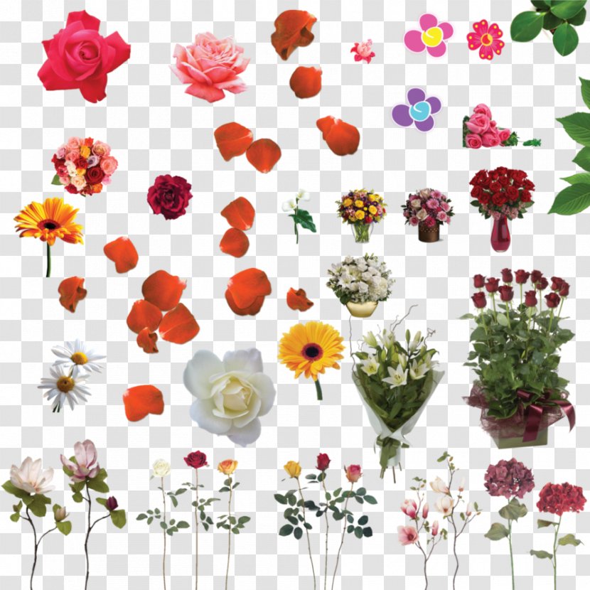 Floral Design 10 April Cut Flowers DeviantArt - February - Poet Transparent PNG