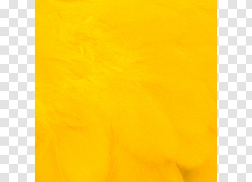 Rectangle - Orange - Hen Transparent PNG