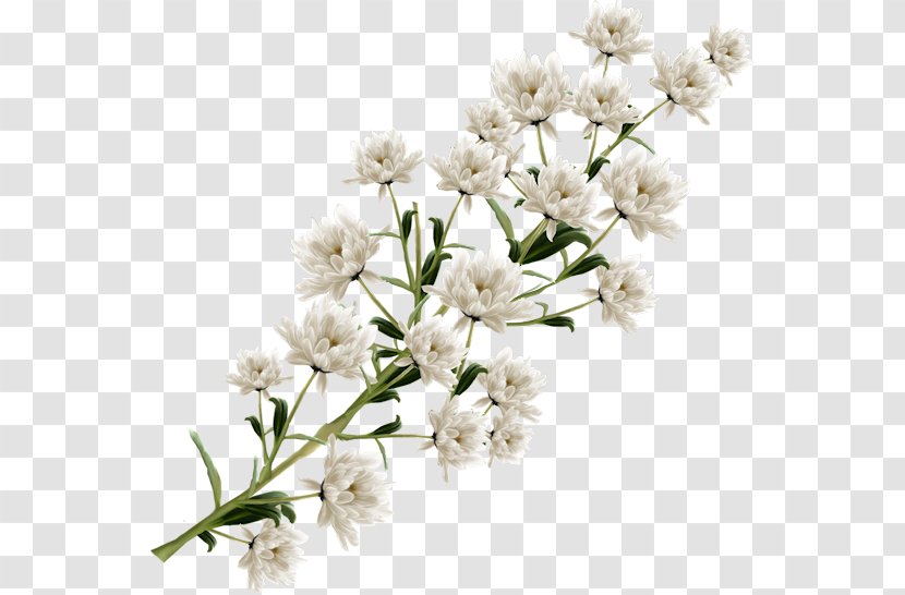 Flower White Clip Art - Black And Transparent PNG