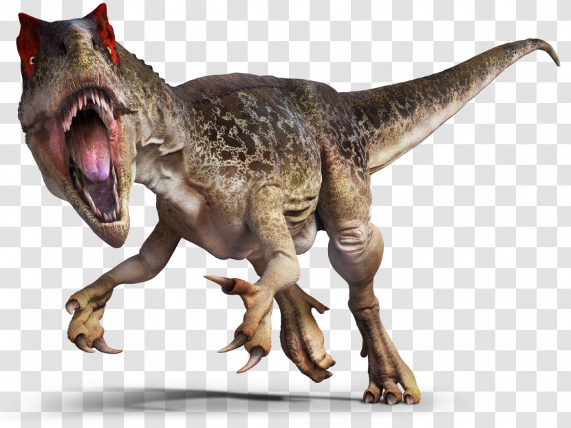 Allosaurus Saurophaganax Tyrannosaurus Theropods Torvosaurus - T Rex Transparent PNG