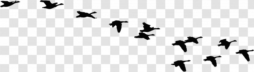 Goose Vector Graphics Clip Art Duck - Animal Migration Transparent PNG