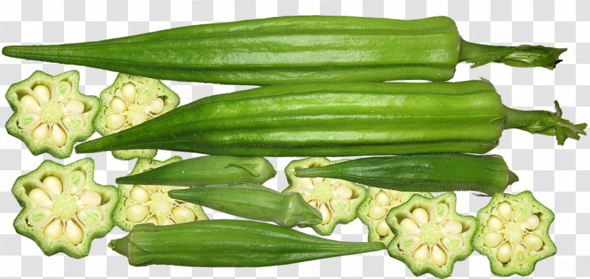 Okra Gumbo African Cuisine Vegetable Bitter Melon - Health Transparent PNG