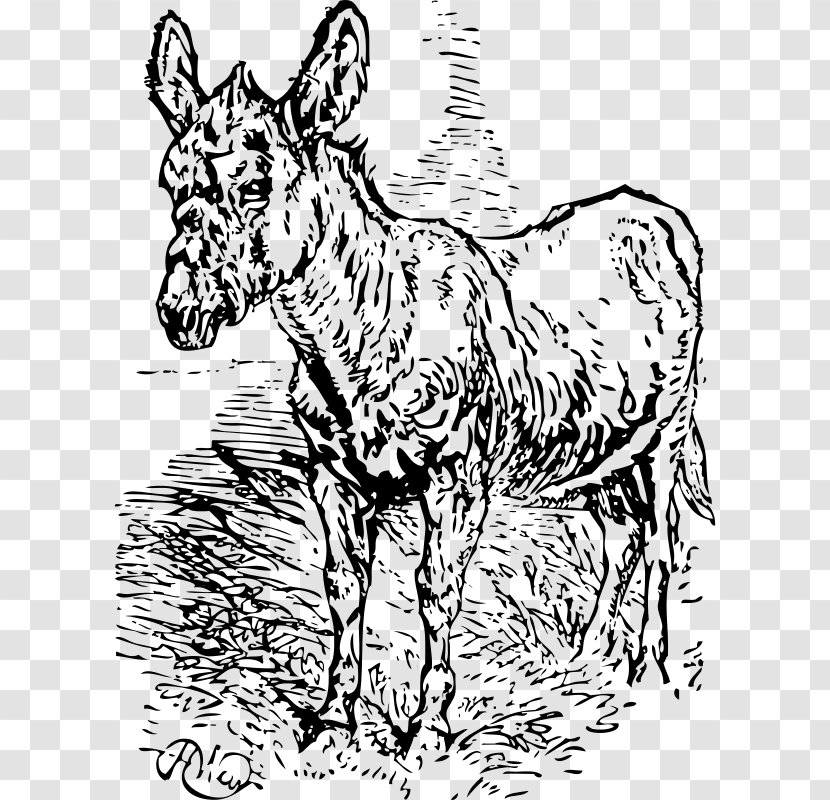 Mule Donkey Horse Clip Art Transparent PNG