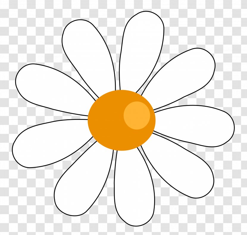Free Content Common Daisy Clip Art - Flower - Cute Cliparts Transparent PNG