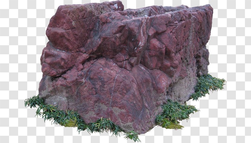 Rock Garden Landscaping State Plaza Boulevard - Meat Transparent PNG