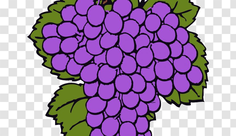 Common Grape Vine Wine Vitis Aestivalis Clip Art - Flowering Plant - Defendant Background Transparent PNG