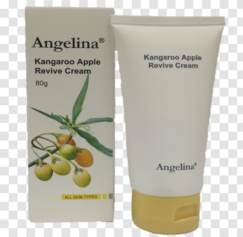 Cream Lotion Skin Rose Oil - Handcream Transparent PNG