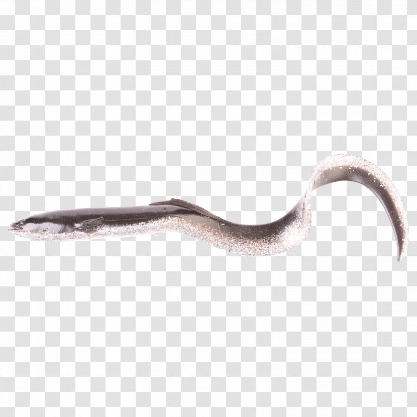 Silver Eel 5G 4G Reptile Transparent PNG