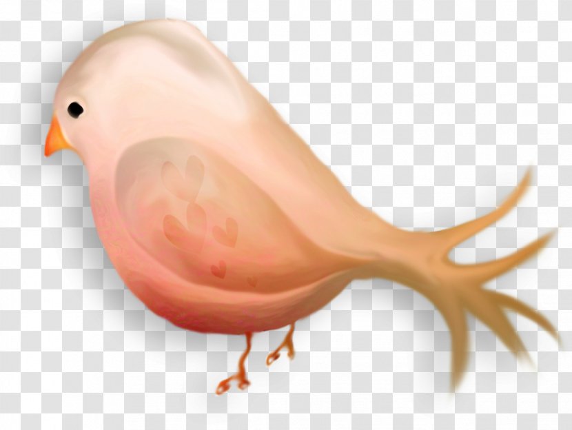 Paper Bird Watercolor Painting Printing - Organism - Chick Transparent PNG