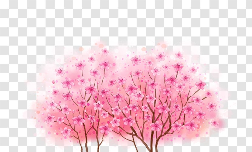 Cherry Blossoms - Chinese New Year - Fundal Transparent PNG