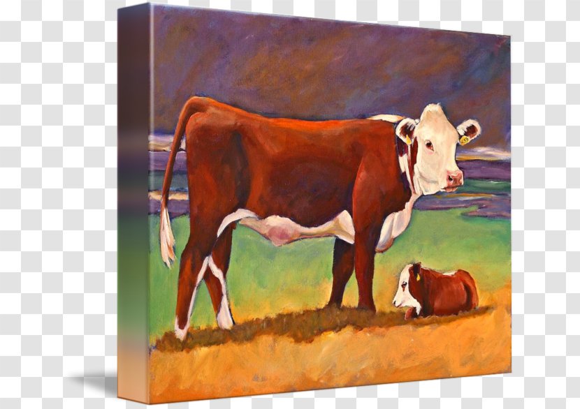 Calf Dairy Cattle Hereford Ox Painting - Livestock Transparent PNG