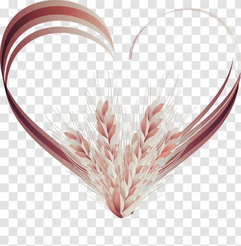 Adobe Illustrator Euclidean Vector - Wheat - Love Transparent PNG