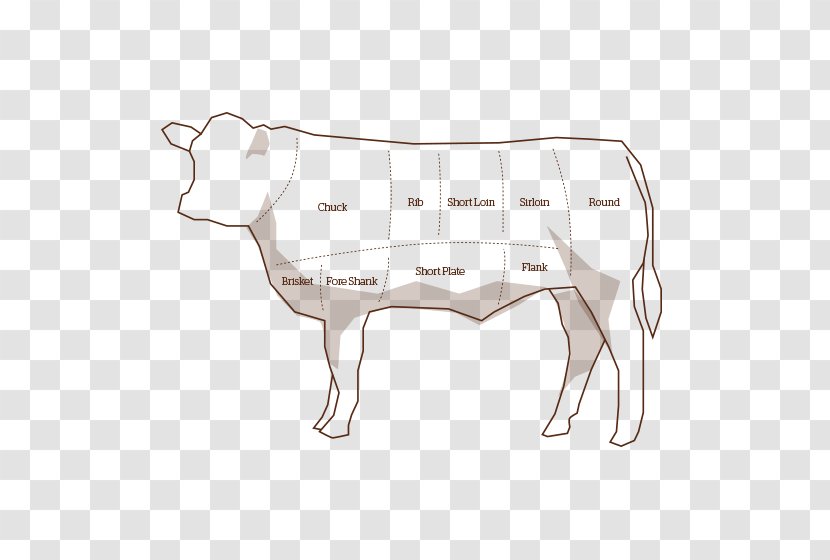 Dairy Cattle Beef Cut Of Butcher - Cow Goat Family - Meat Transparent PNG