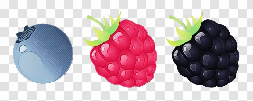 Berry Blackberry Fruit Raspberry Rubus - Grape - Plant Frutti Di Bosco Transparent PNG